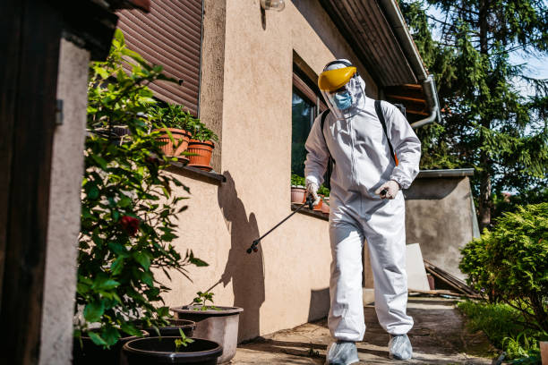 Best Pest Removal Services  in Lowell, OR