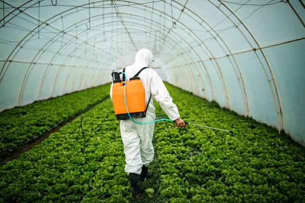 Best Pest Control Near Me  in Lowell, OR