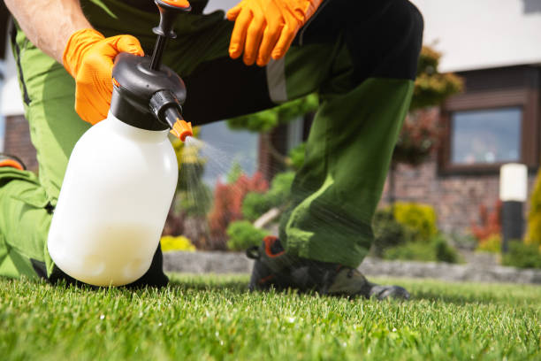 Best Rat Extermination Near Me  in Lowell, OR