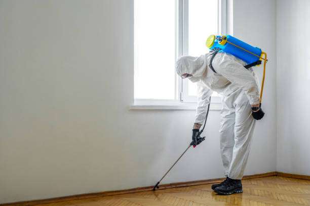 Best Pest Control Near Me  in Lowell, OR