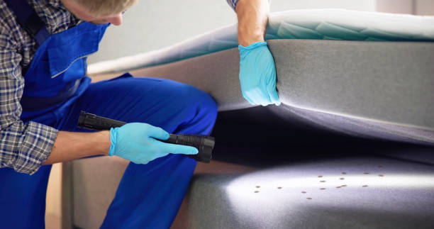 Best Pest Prevention Services  in Lowell, OR