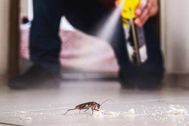 Pest Control for Restaurants in Lowell, OR
