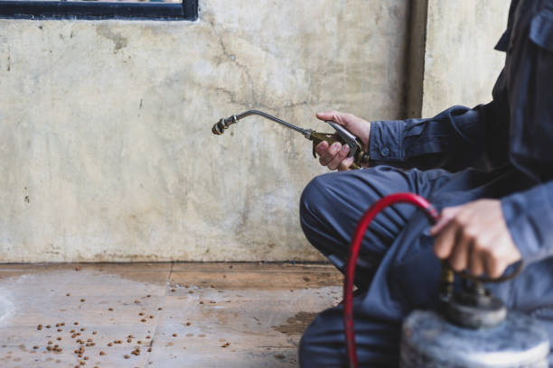 Best Termite Control Services  in Lowell, OR